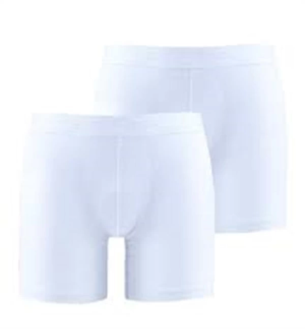 Blackpade Erkek Boxer 9324